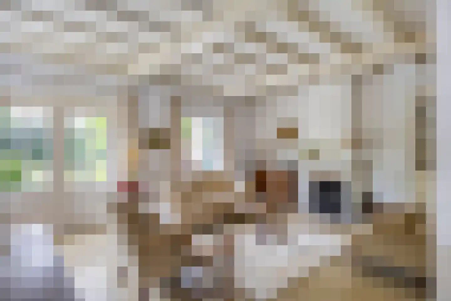 Jachthuisstraat 10 Kloetinge thumbnail 5