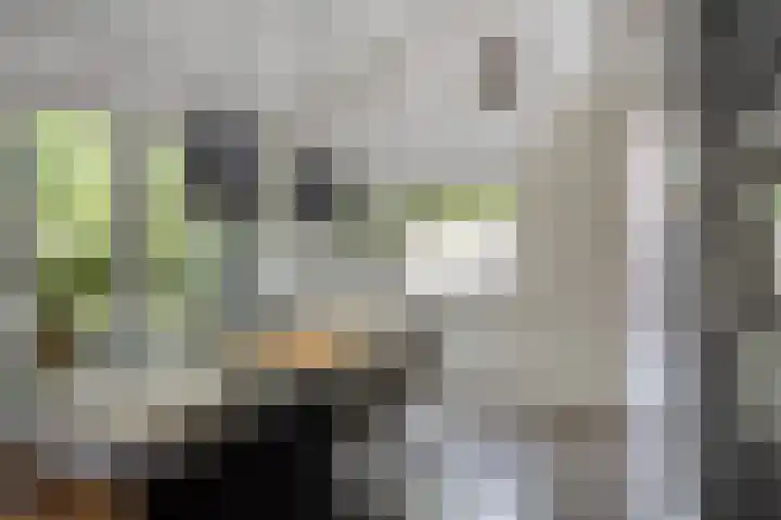 Jachthuisstraat 34 Kloetinge thumbnail 11