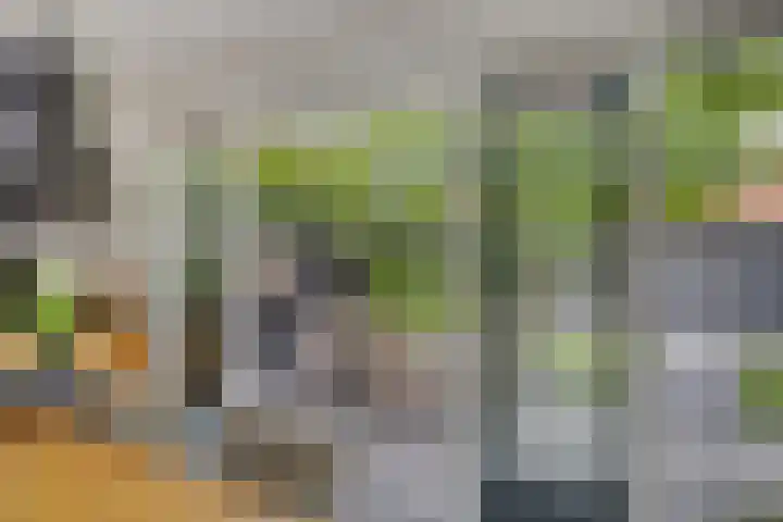 Jachthuisstraat 34 Kloetinge thumbnail 12