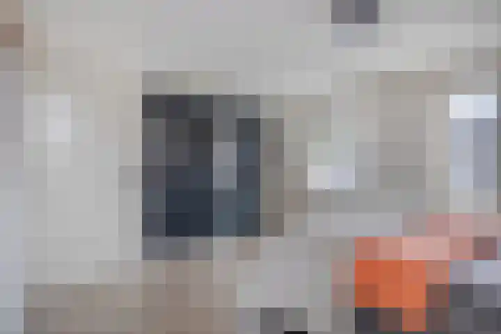 Jachthuisstraat 34 Kloetinge thumbnail 24