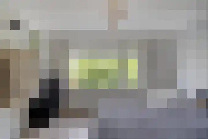 Jachthuisstraat 34 Kloetinge thumbnail 26