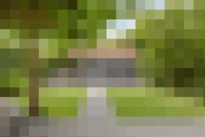 Jachthuisstraat 34 Kloetinge thumbnail 35