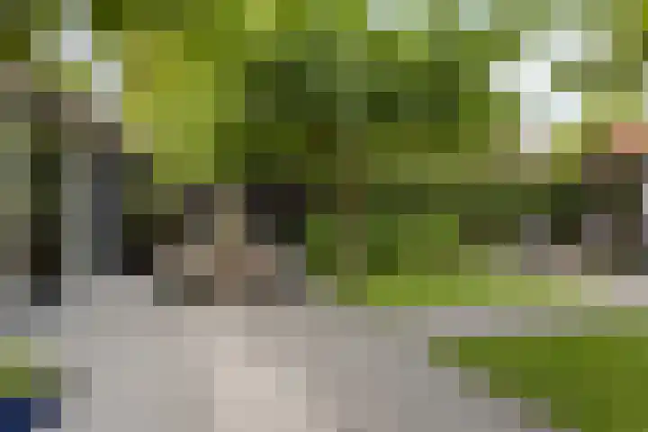Jachthuisstraat 34 Kloetinge thumbnail 36