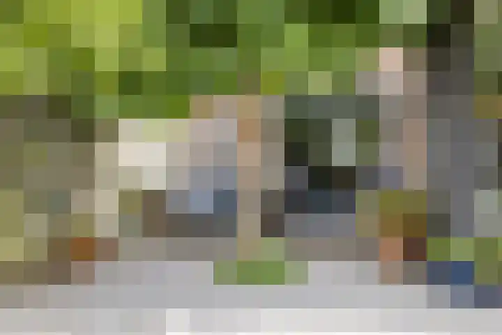Jachthuisstraat 34 Kloetinge thumbnail 37