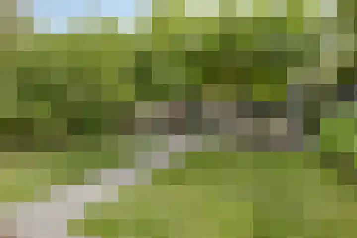 Jachthuisstraat 34 Kloetinge thumbnail 4