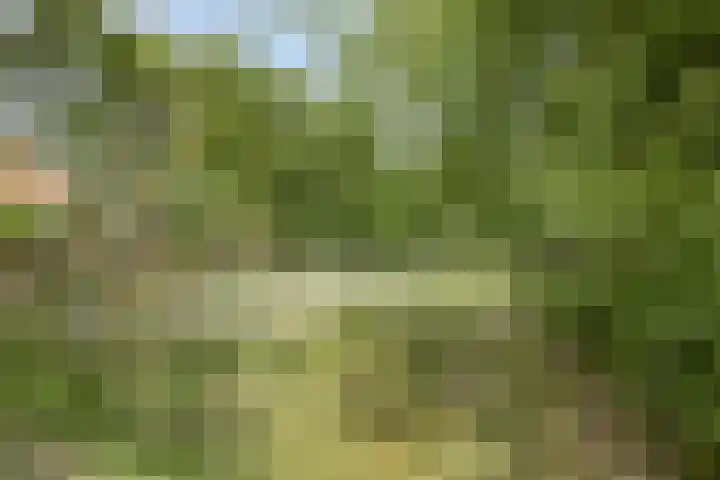Jachthuisstraat 34 Kloetinge thumbnail 41