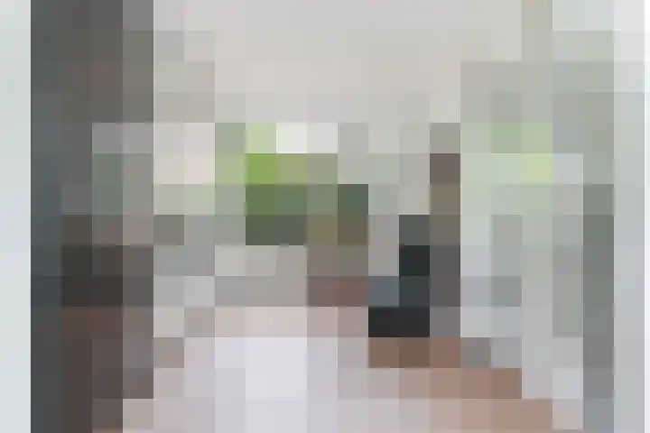 Jachthuisstraat 38 Kloetinge thumbnail 10