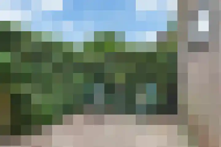 Jachthuisstraat 38 Kloetinge thumbnail 31