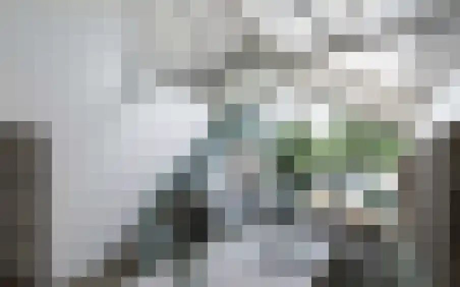 Jachthuisstraat 5 Kloetinge thumbnail 13