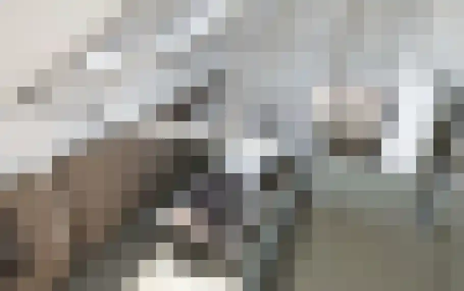 Jachthuisstraat 5 Kloetinge thumbnail 18