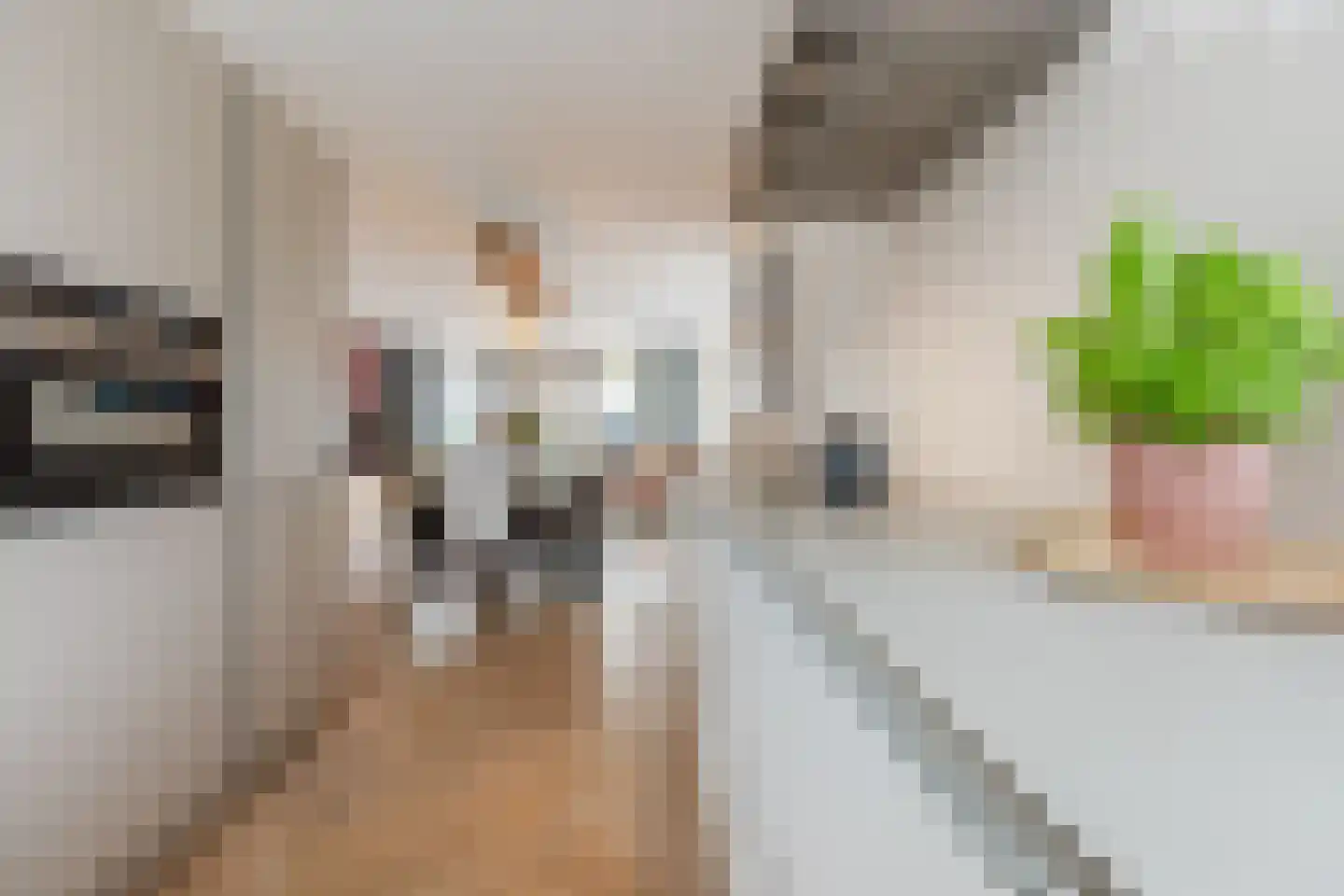 Jachtkamp 4 Oosterhout thumbnail 13