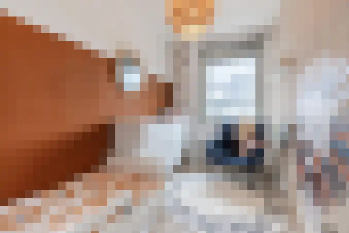 Jachtkamp 4 Oosterhout thumbnail 20