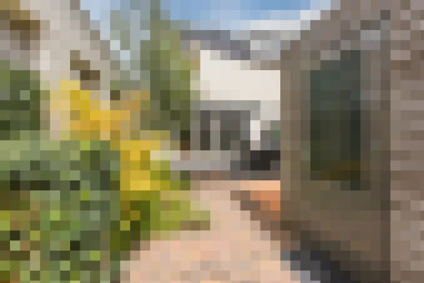 Jachtkamp 4 Oosterhout thumbnail 44