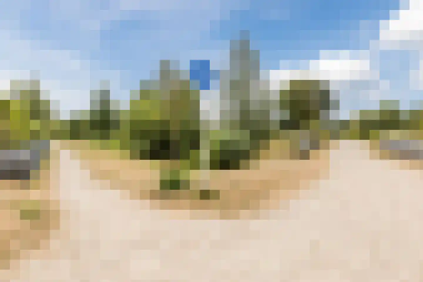 Jachtkamp 4 Oosterhout thumbnail 50