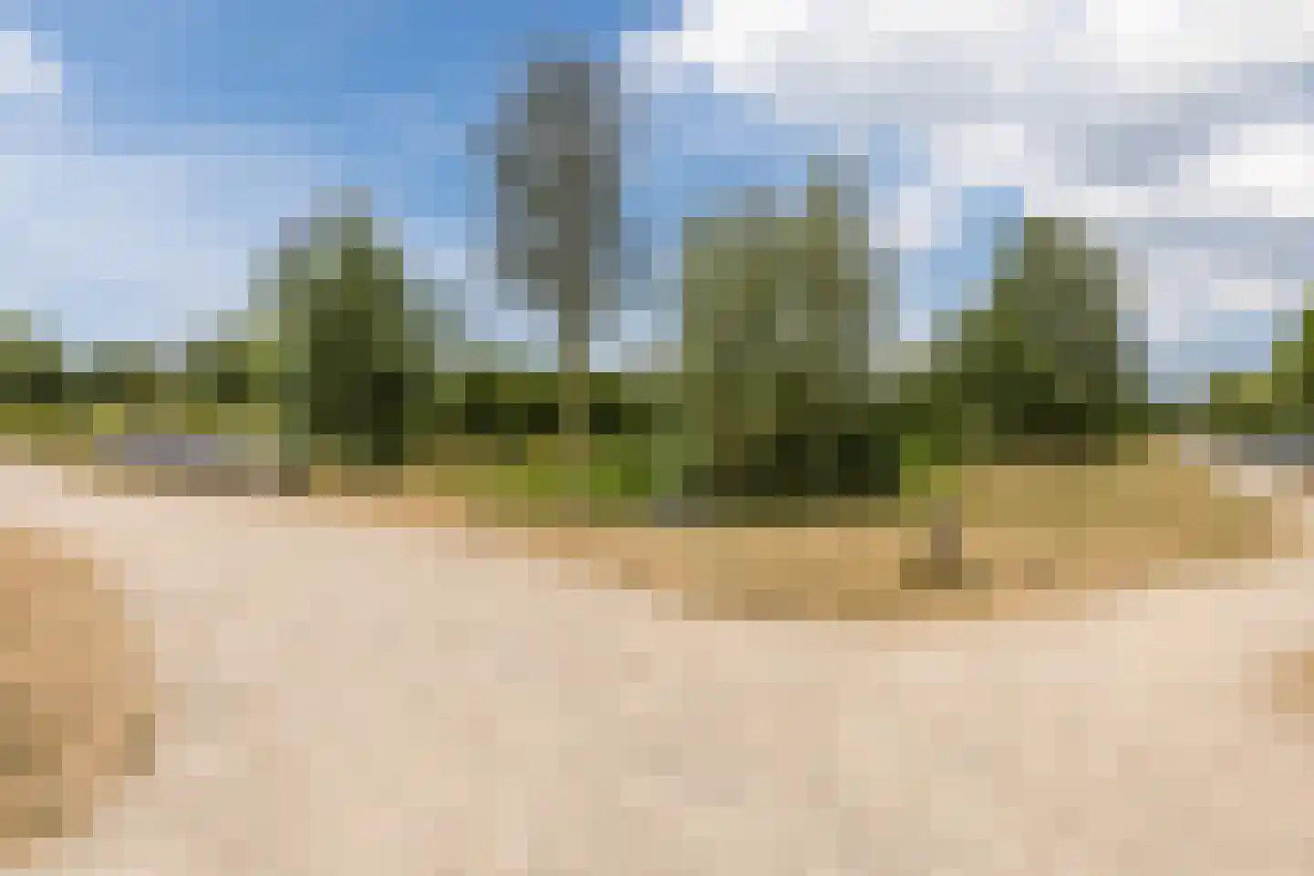 Jachtkamp 4 Oosterhout thumbnail 51