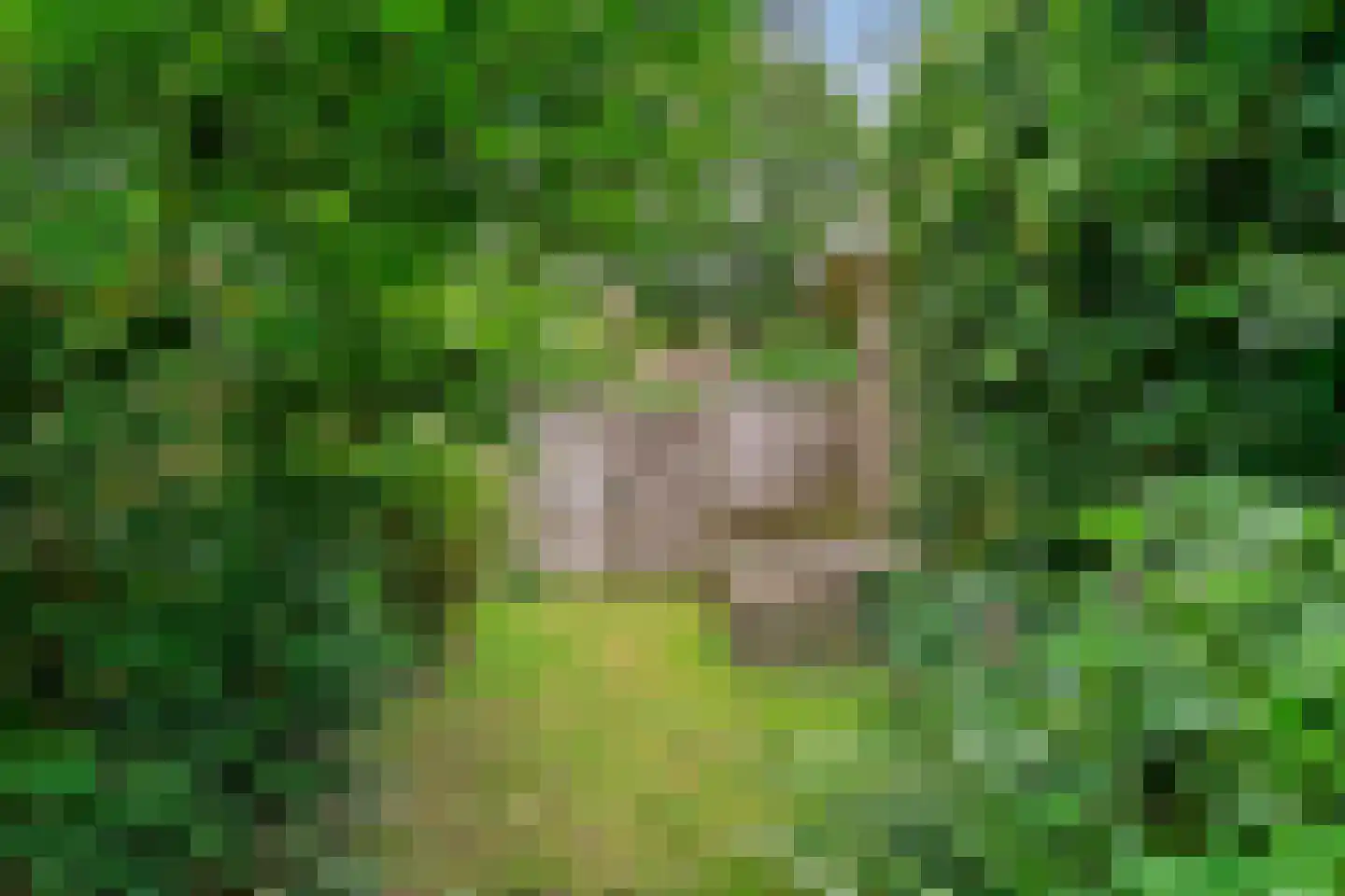 Jachtlaan 1 Bilthoven thumbnail 46