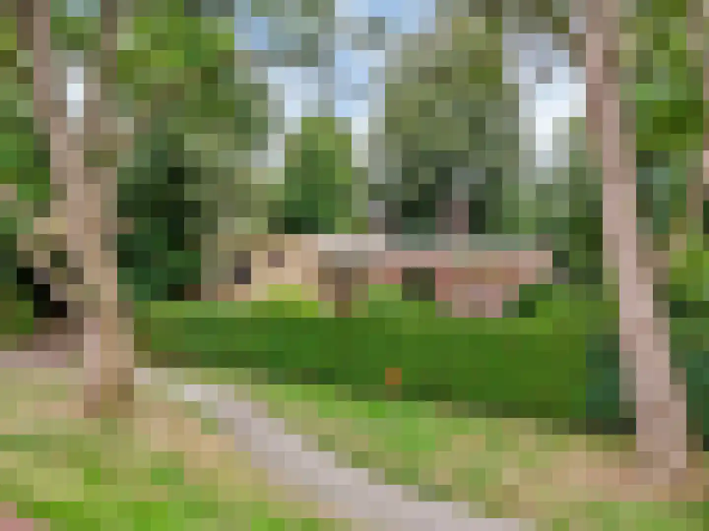 Jachtlaan 1 Bilthoven thumbnail 47