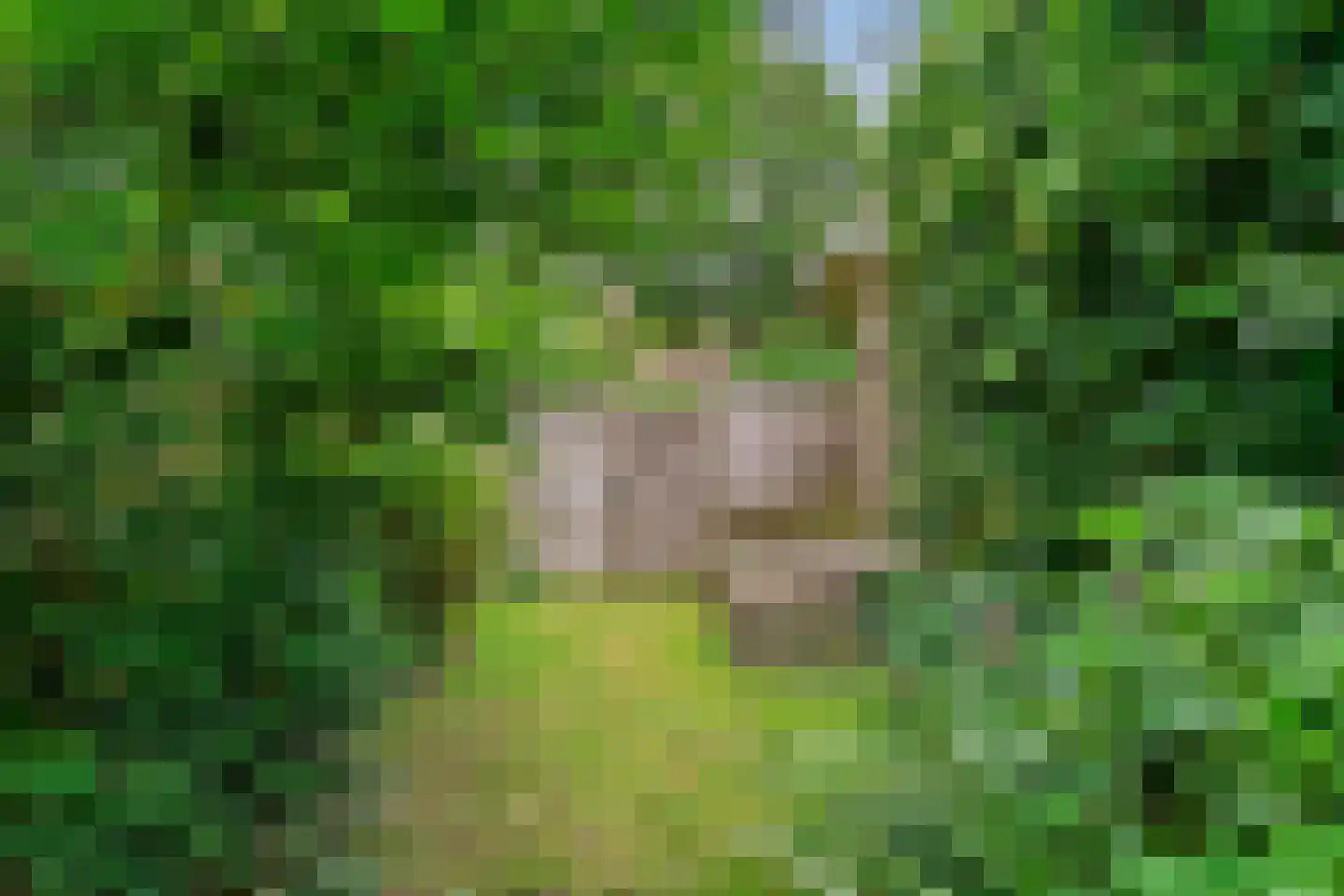 Jachtlaan 1 Bilthoven thumbnail 50