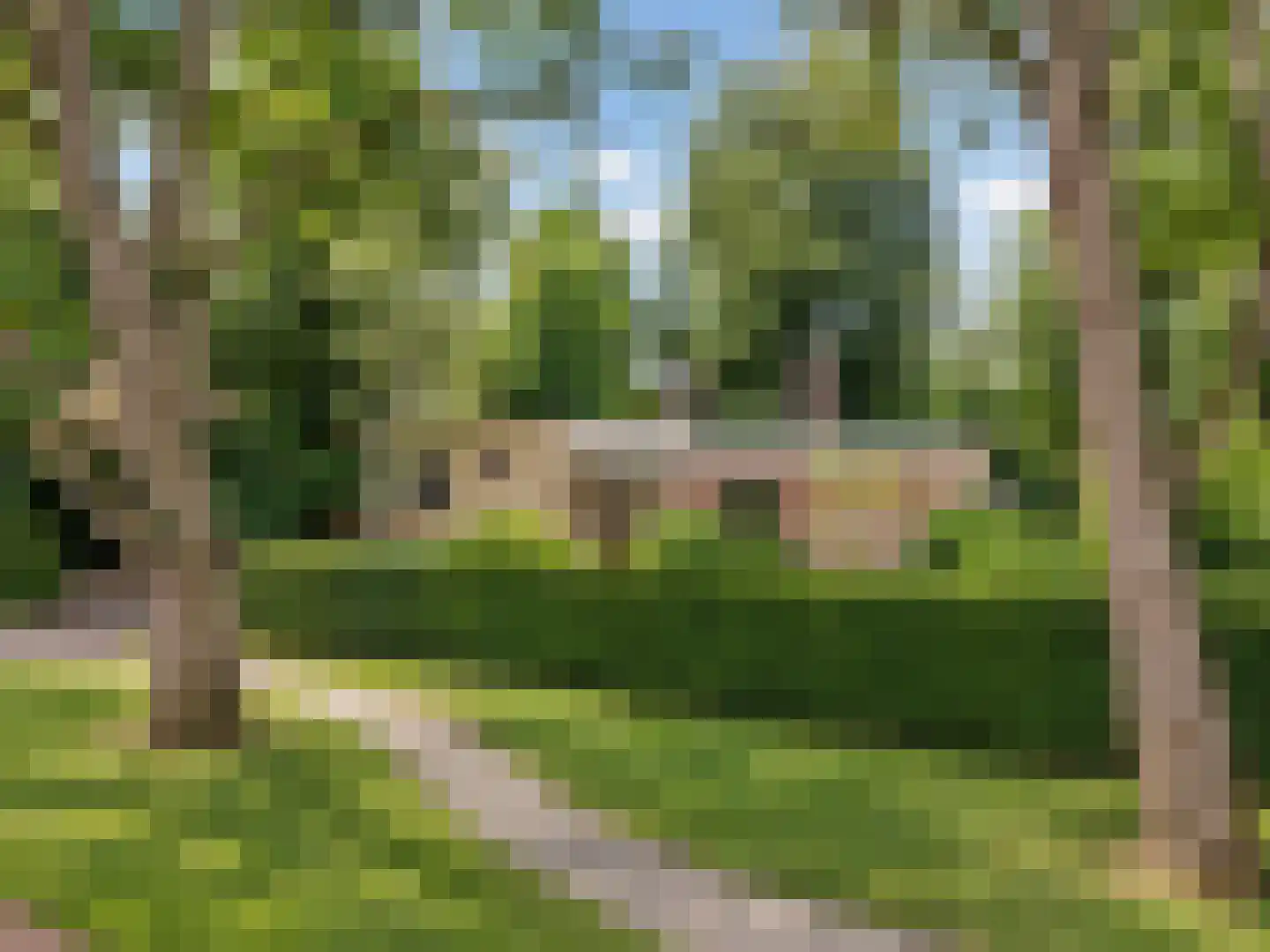 Jachtlaan 1 Bilthoven thumbnail 51