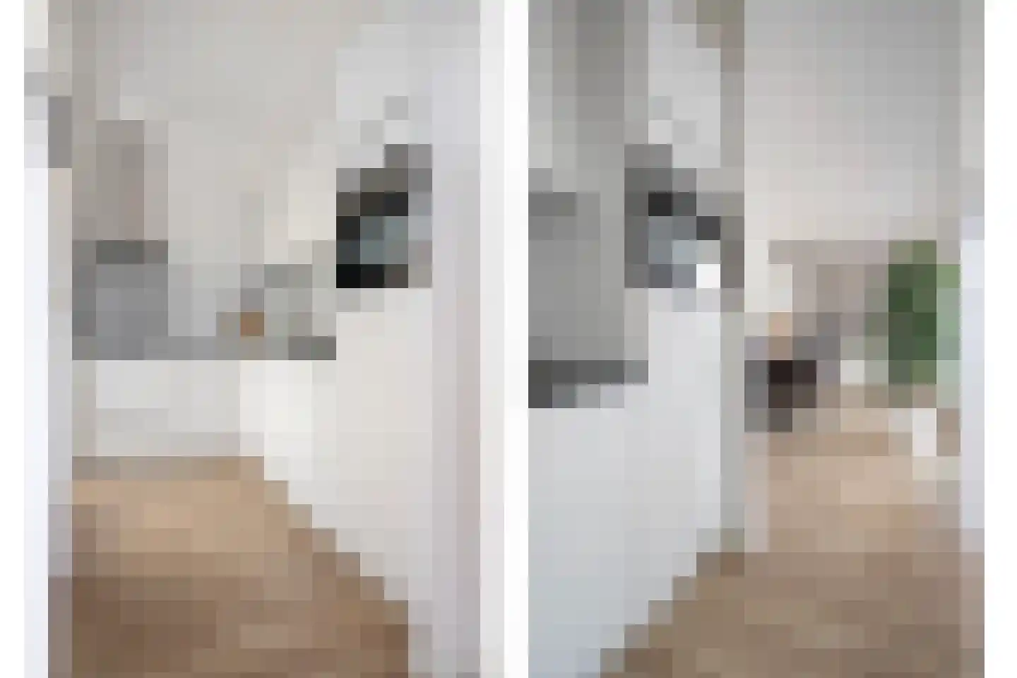 Jachtlaan 1 Scharendijke thumbnail 14