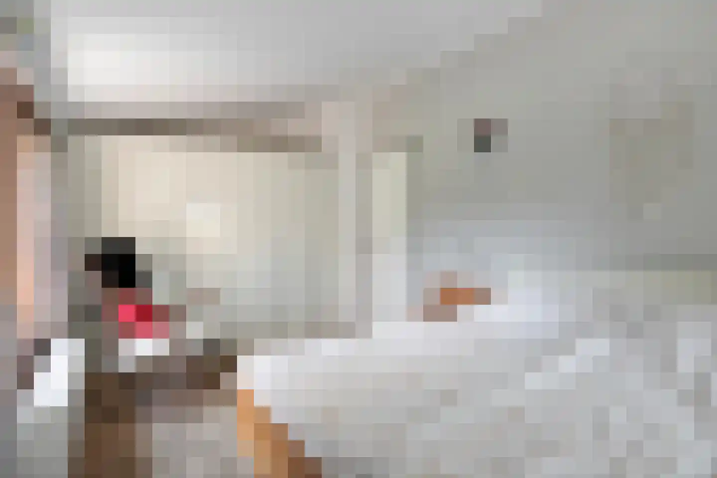 Jachtlaan 1 Scharendijke thumbnail 18