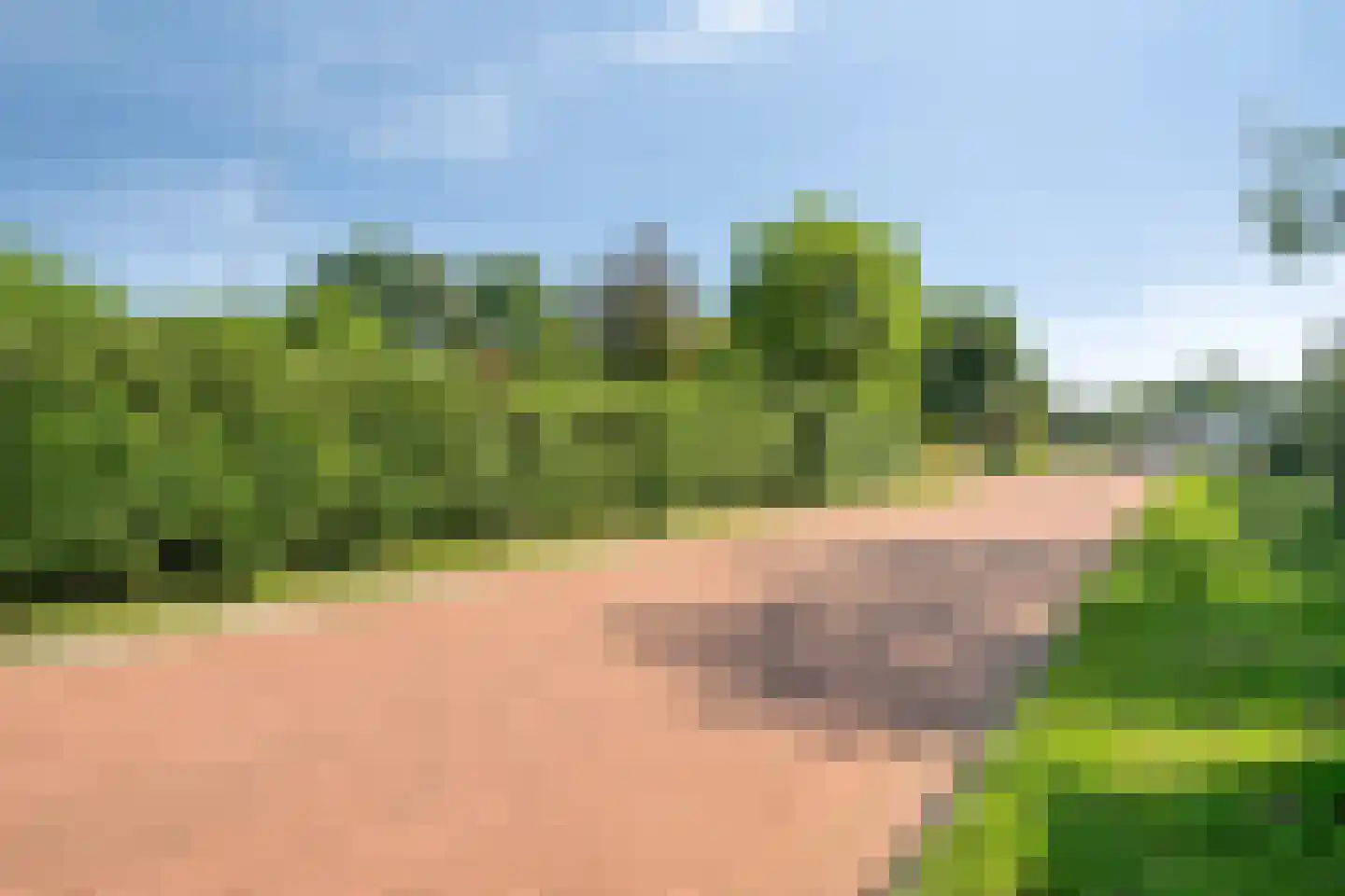 Jachtlaan 1 Scharendijke thumbnail 31