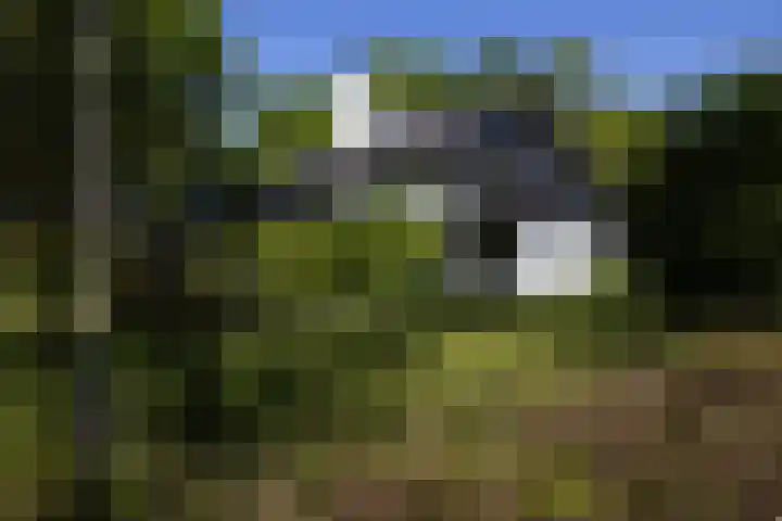 Jachtlaan 1 Wezep thumbnail 12