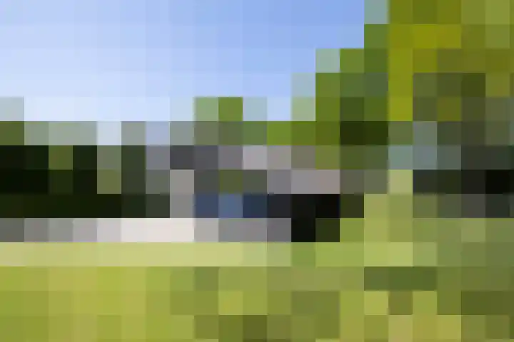Jachtlaan 1 Wezep thumbnail 13