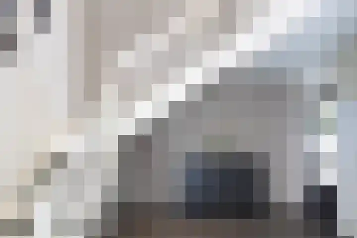 Jachtlaan 1 Wezep thumbnail 16