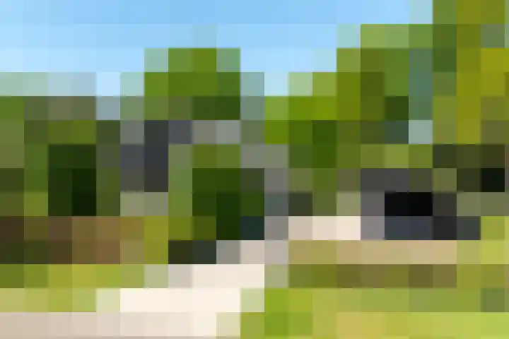 Jachtlaan 1 Wezep foto 2