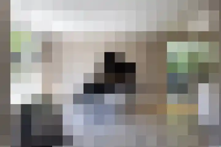 Jachtlaan 1 Wezep thumbnail 22