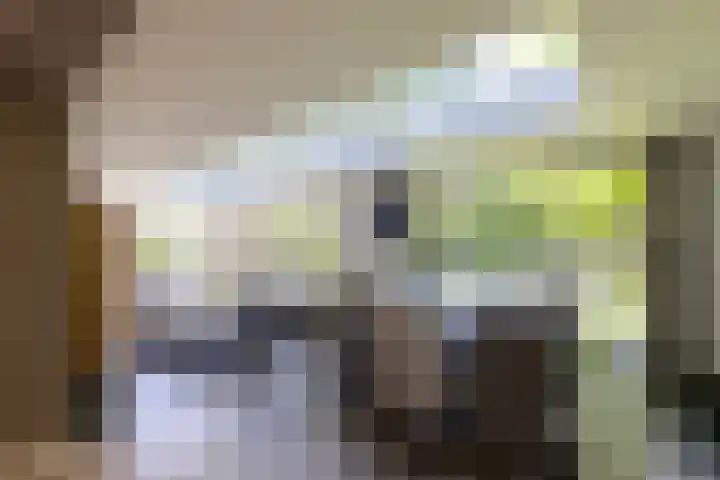 Jachtlaan 1 Wezep thumbnail 23