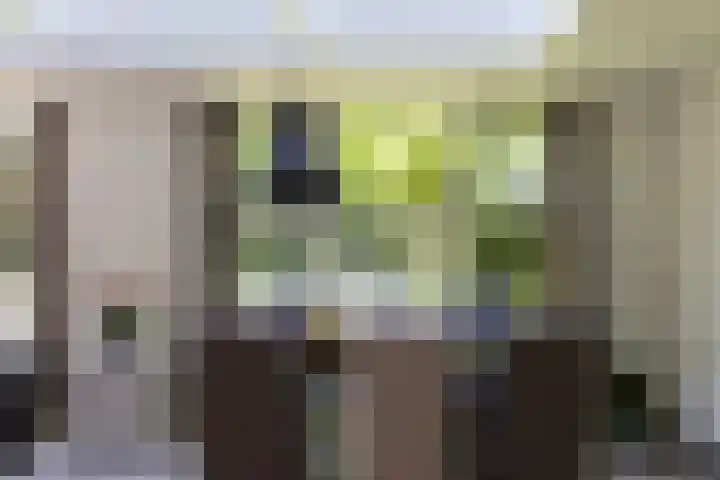 Jachtlaan 1 Wezep thumbnail 24