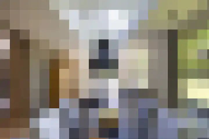Jachtlaan 1 Wezep thumbnail 25