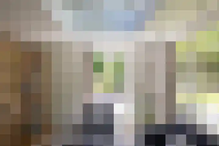 Jachtlaan 1 Wezep thumbnail 26