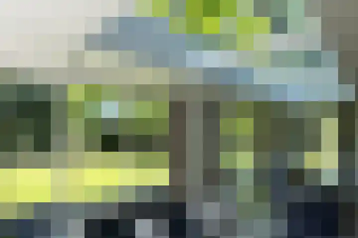 Jachtlaan 1 Wezep thumbnail 27