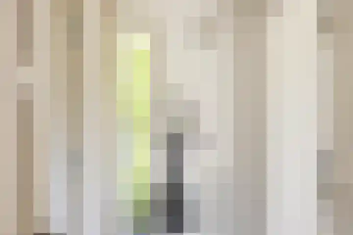 Jachtlaan 1 Wezep thumbnail 31