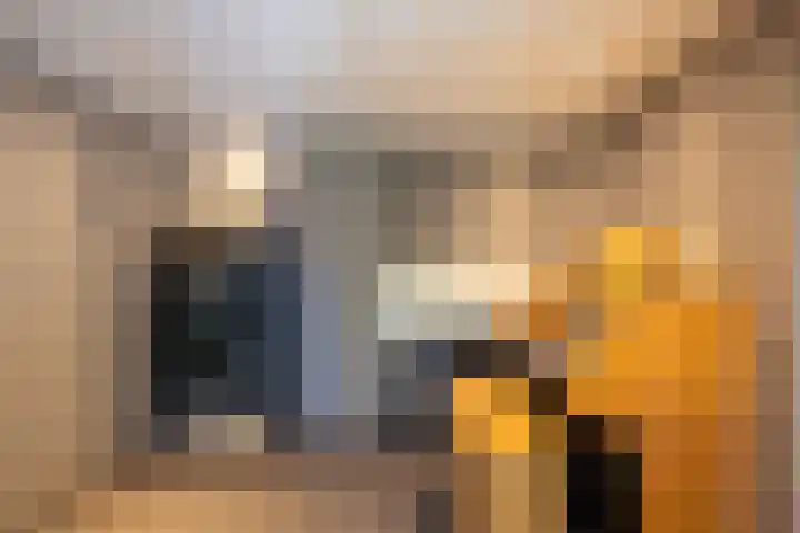 Jachtlaan 1 Wezep thumbnail 33
