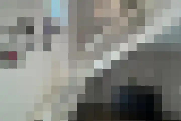 Jachtlaan 1 Wezep thumbnail 34