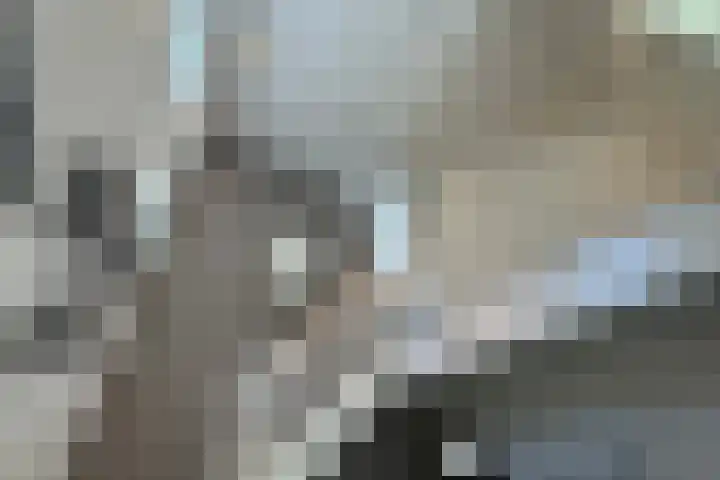 Jachtlaan 1 Wezep thumbnail 35