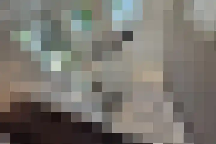 Jachtlaan 1 Wezep thumbnail 36