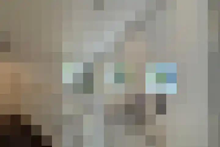 Jachtlaan 1 Wezep thumbnail 37