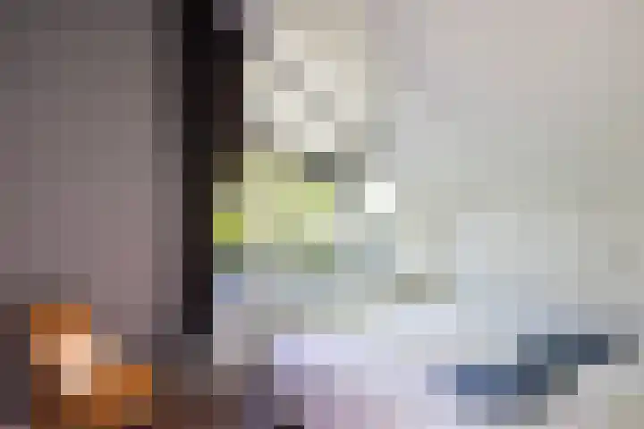 Jachtlaan 1 Wezep thumbnail 42