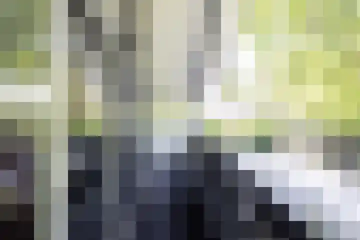 Jachtlaan 1 Wezep thumbnail 43