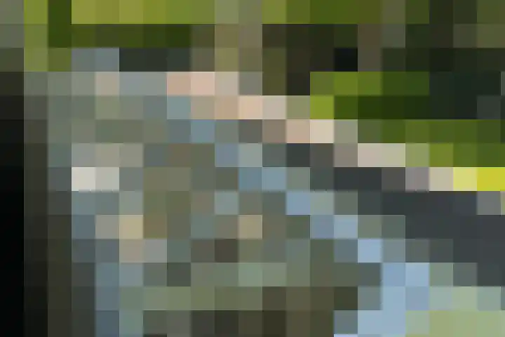 Jachtlaan 1 Wezep thumbnail 44