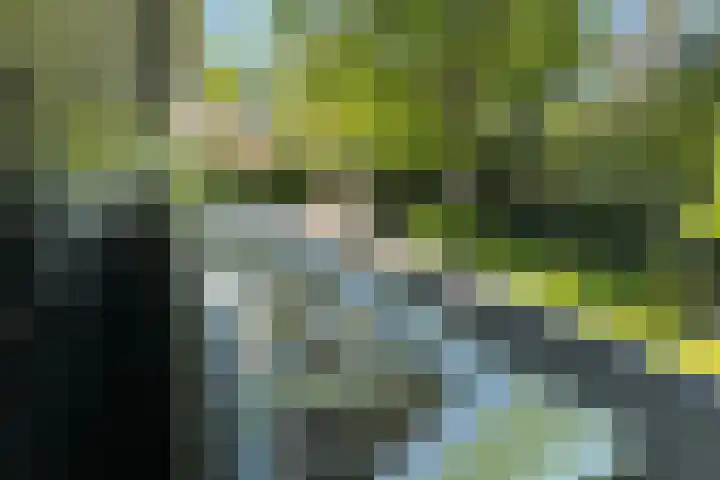 Jachtlaan 1 Wezep thumbnail 45