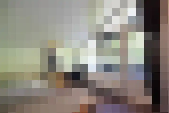 Jachtlaan 1 Wezep thumbnail 47