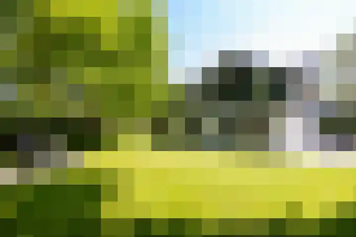 Jachtlaan 1 Wezep thumbnail 5