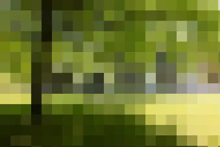 Jachtlaan 1 Wezep thumbnail 52