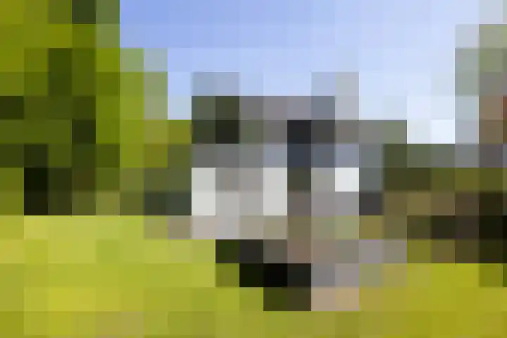 Jachtlaan 1 Wezep thumbnail 53